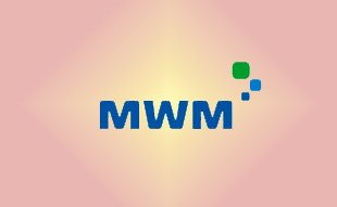 ✓ MWM 1240 4599 EE Модуль AVAT WAT24-1 